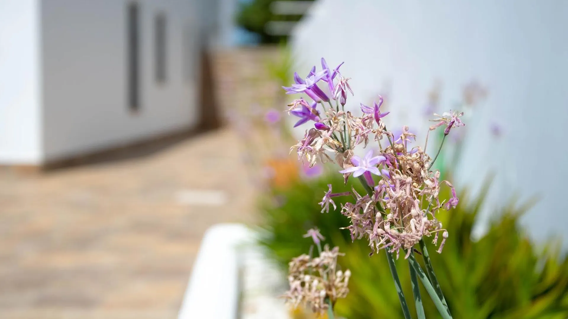 Apartamentos Rurales كونيل ذي لا فرونتيرا